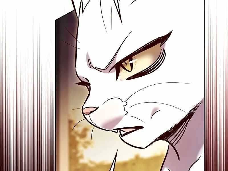 Hoá Thân Thành Mèo - Chapter 325 - Page 124