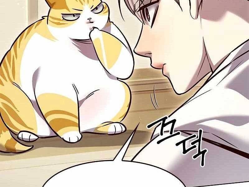 Hoá Thân Thành Mèo - Chapter 325 - Page 142