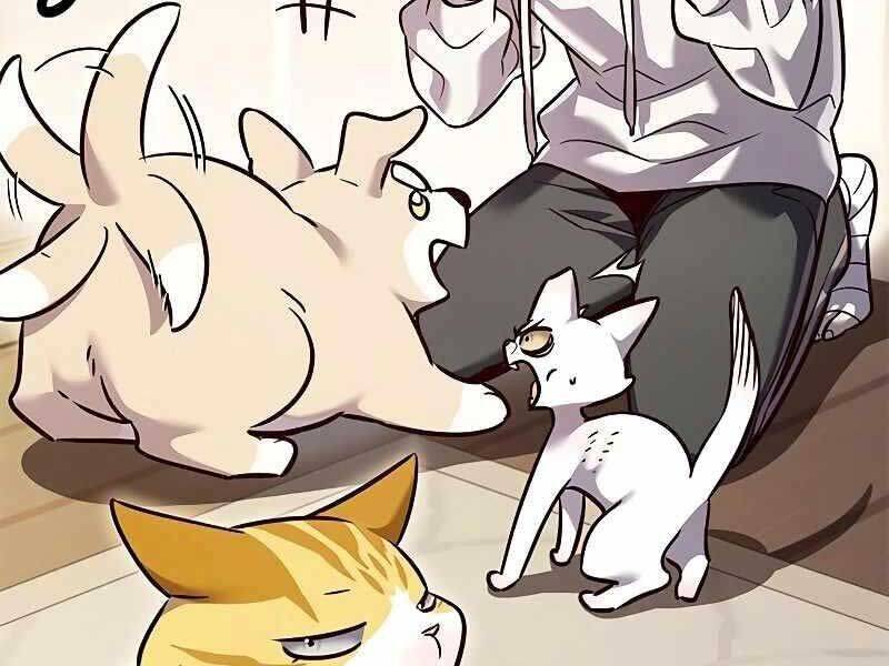 Hoá Thân Thành Mèo - Chapter 325 - Page 198