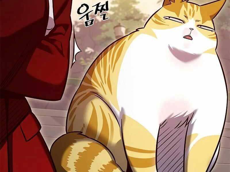 Hoá Thân Thành Mèo - Chapter 325 - Page 217