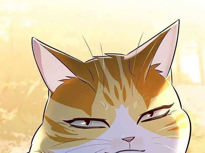 Hoá Thân Thành Mèo - Chapter 325 - Page 227