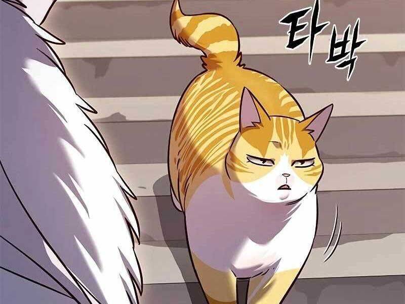 Hoá Thân Thành Mèo - Chapter 325 - Page 234