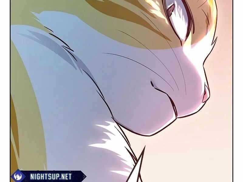 Hoá Thân Thành Mèo - Chapter 325 - Page 241