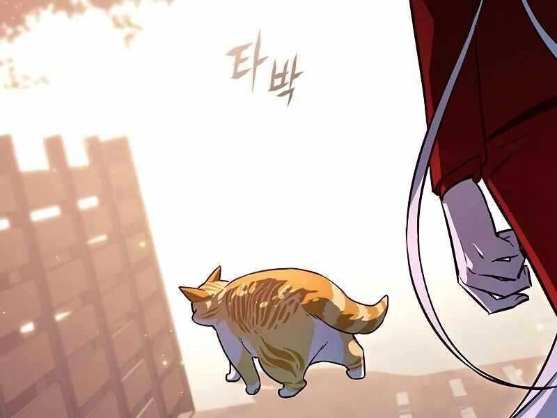 Hoá Thân Thành Mèo - Chapter 325 - Page 249