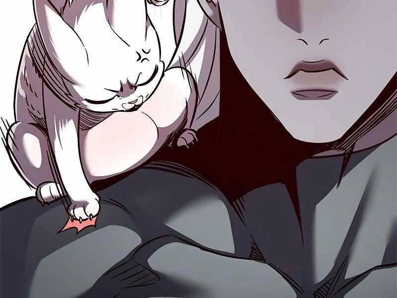 Hoá Thân Thành Mèo - Chapter 325 - Page 37