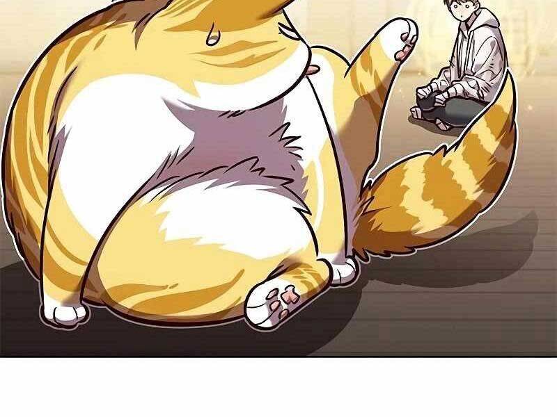 Hoá Thân Thành Mèo - Chapter 325 - Page 55