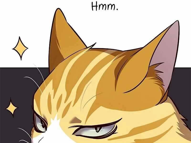 Hoá Thân Thành Mèo - Chapter 325 - Page 58