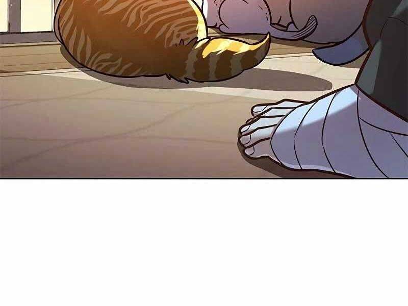 Hoá Thân Thành Mèo - Chapter 325 - Page 76