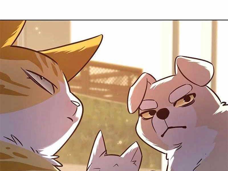 Hoá Thân Thành Mèo - Chapter 325 - Page 80