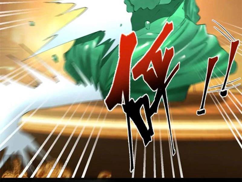 Chàng Rể Mạnh Nhất Lịch Sử - Chapter 248 - Page 28