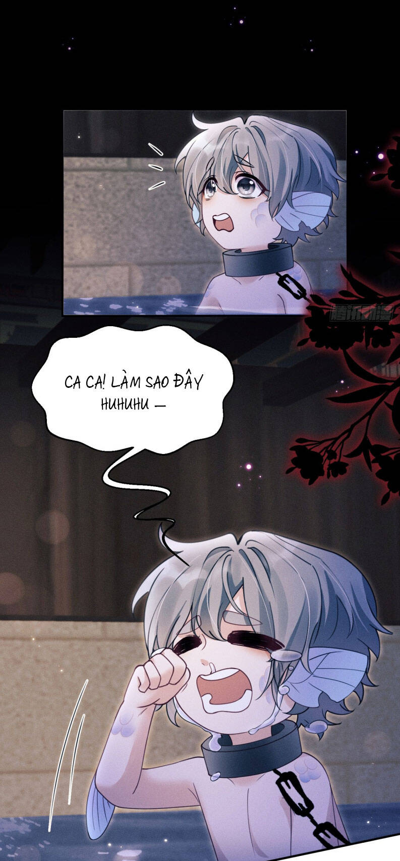 Tôi Hoài Nghi Ảnh Đế Đang Theo Đuổi Tôi Chapter 168 - Trang 25