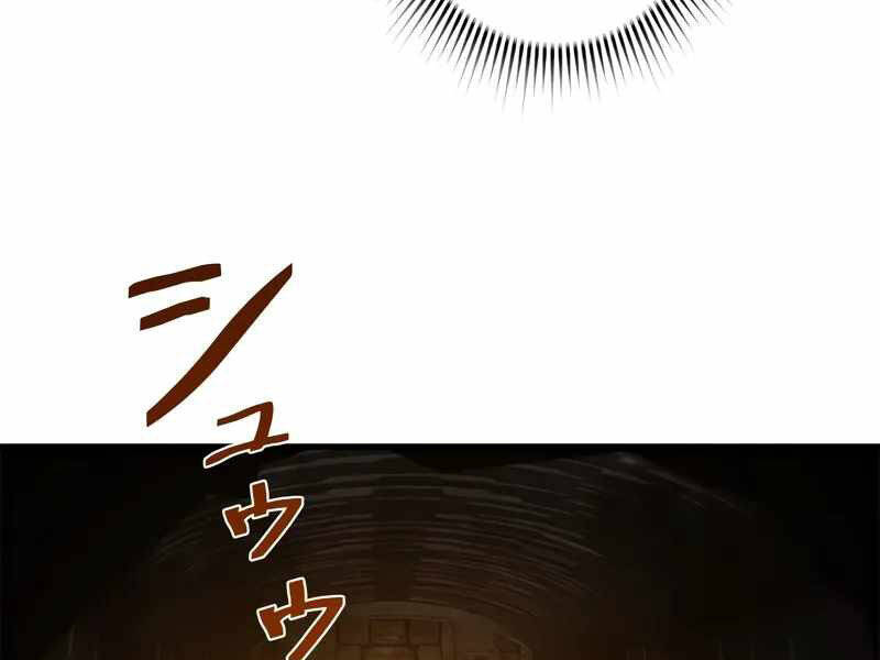 Đặc Tính Tiến Hóa Của Chiêu Hồn Sư - Chapter 77 - Page 146