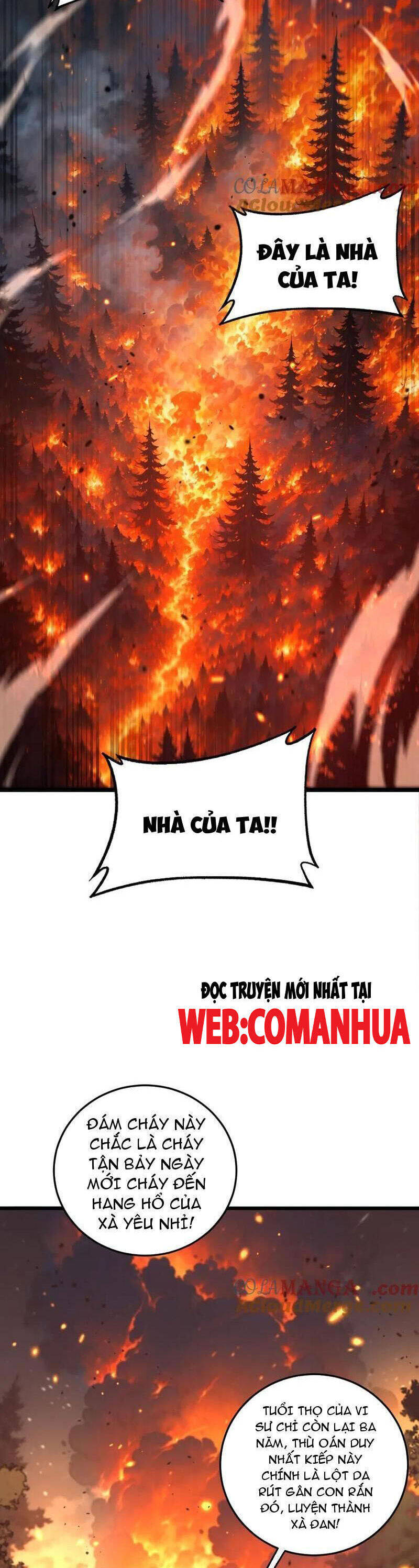 Lão Xà Tu Tiên Truyện Chapter 16 - Trang 28