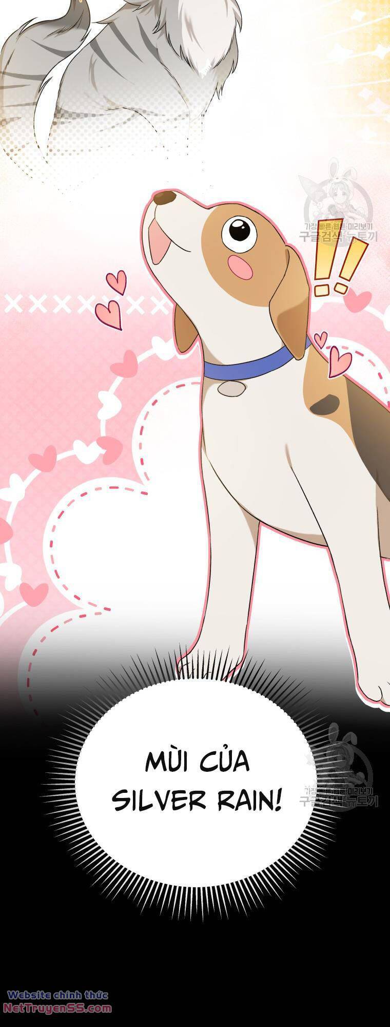Xin Chào! Bác Sĩ Thú Y - Chapter 12 - Page 19