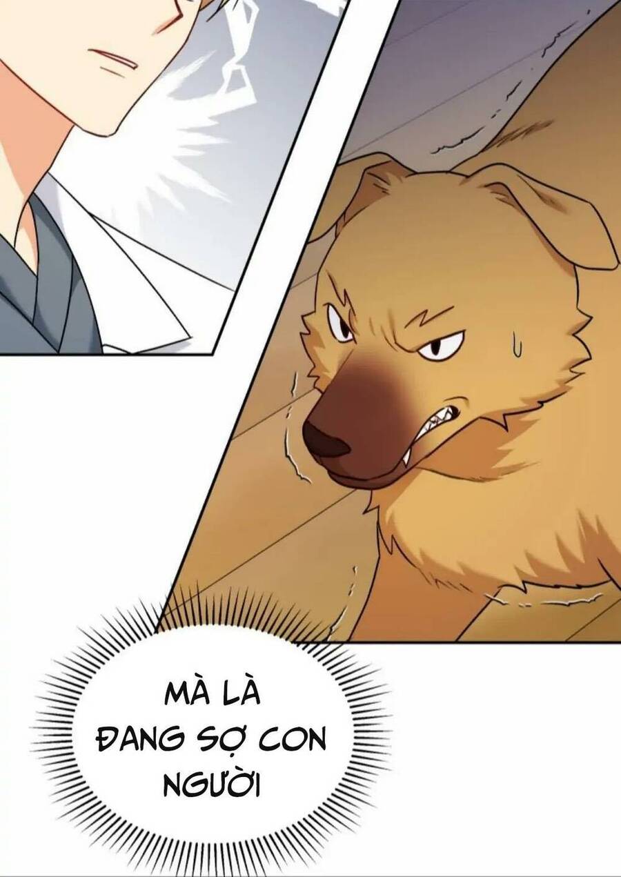 Xin Chào! Bác Sĩ Thú Y - Chapter 16 - Page 66