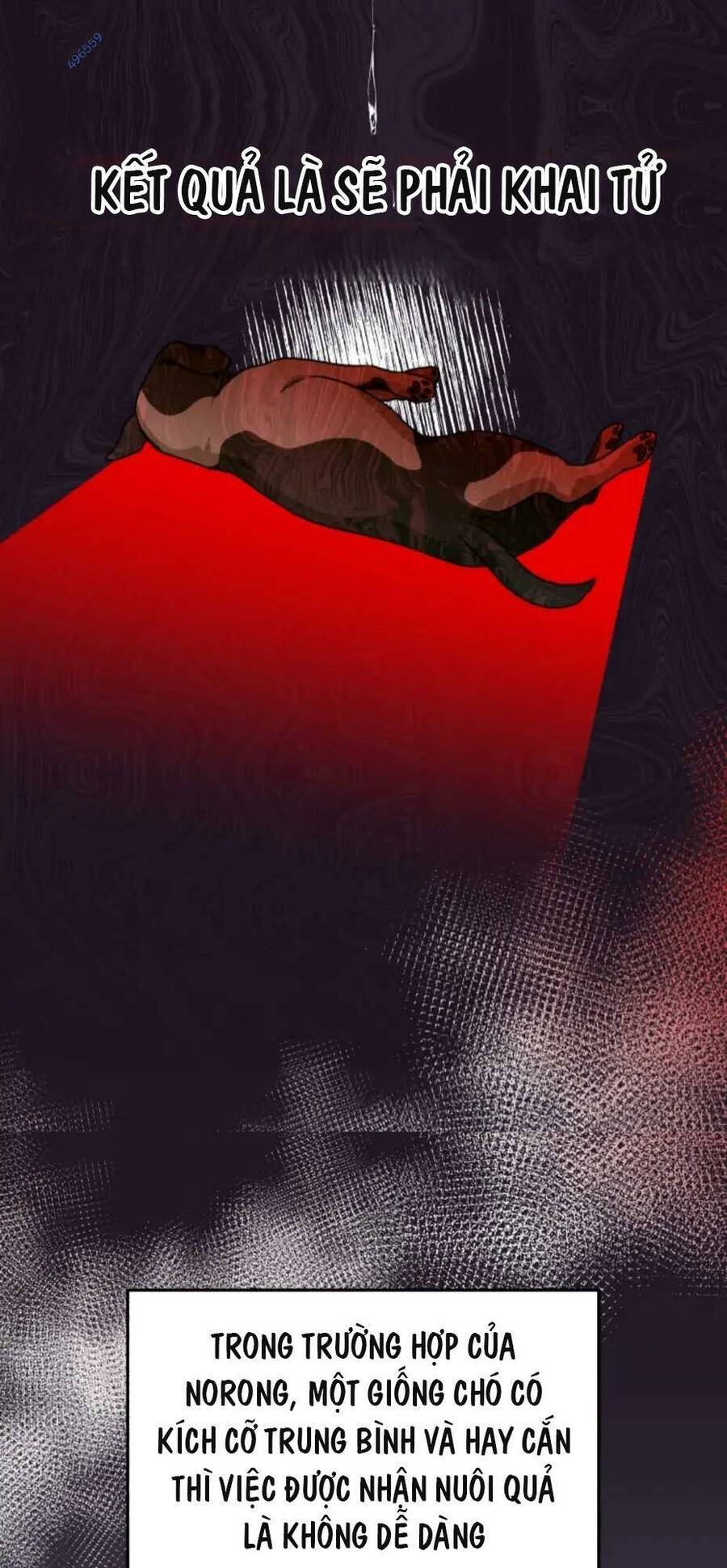 Xin Chào! Bác Sĩ Thú Y - Chapter 17 - Page 36