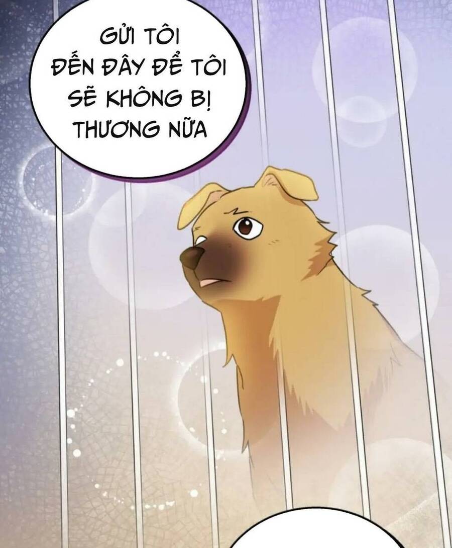 Xin Chào! Bác Sĩ Thú Y - Chapter 19 - Page 11