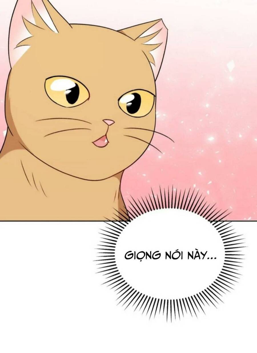 Xin Chào! Bác Sĩ Thú Y - Chapter 21 - Page 44