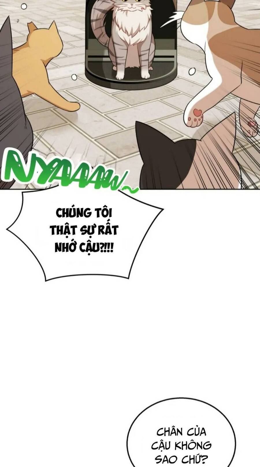 Xin Chào! Bác Sĩ Thú Y - Chapter 21 - Page 50