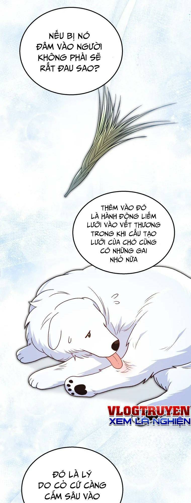 Xin Chào! Bác Sĩ Thú Y - Chapter 23 - Page 19