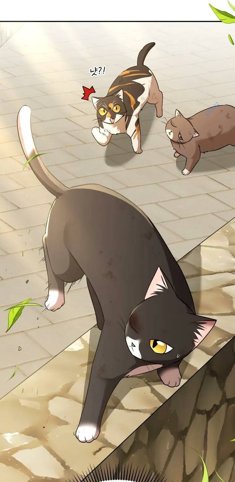 Xin Chào! Bác Sĩ Thú Y - Chapter 27 - Page 25