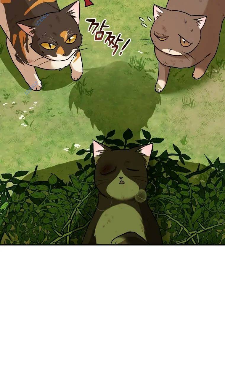 Xin Chào! Bác Sĩ Thú Y - Chapter 27 - Page 44