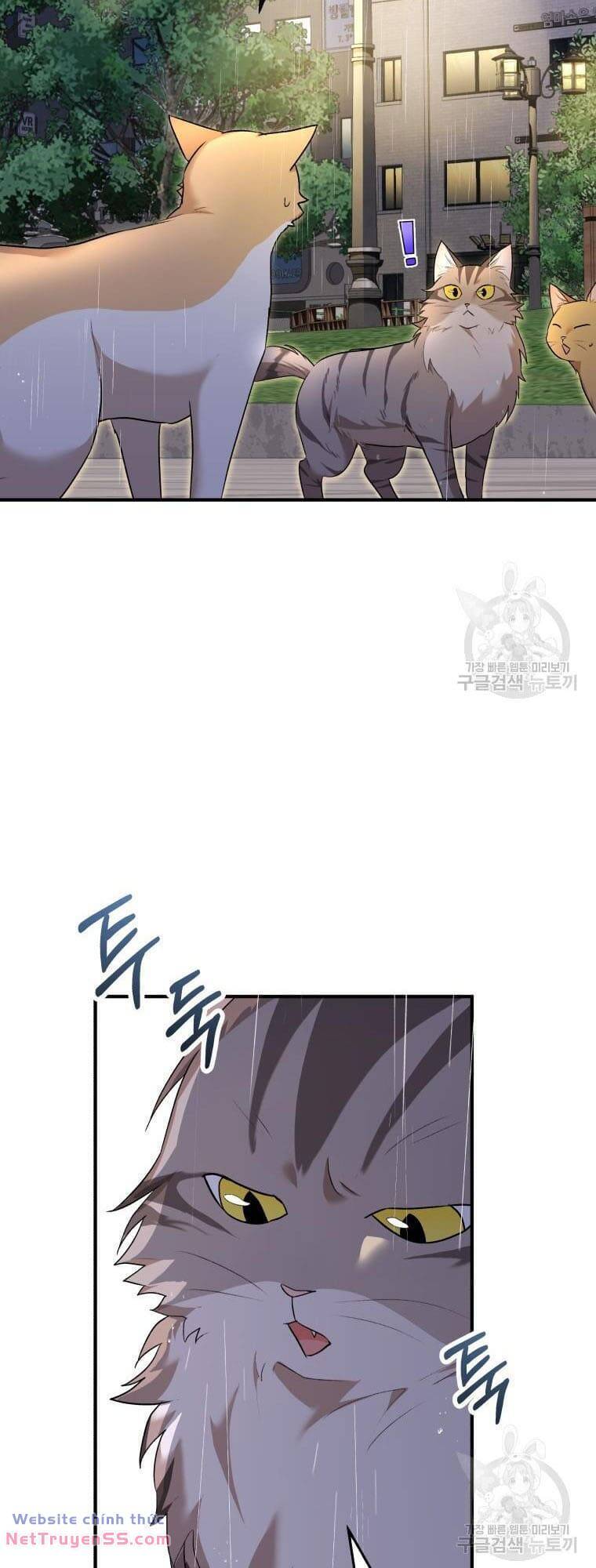 Xin Chào! Bác Sĩ Thú Y - Chapter 6 - Page 51