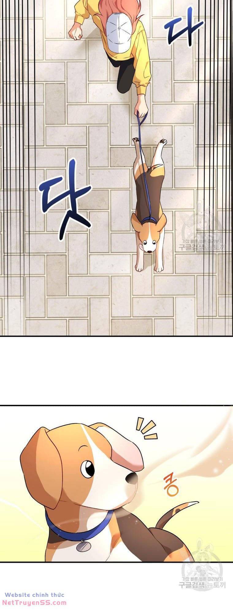 Xin Chào! Bác Sĩ Thú Y - Chapter 9 - Page 43