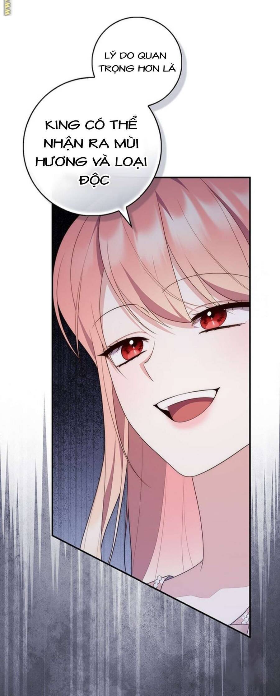 Nàng Công Chúa Tiên Tri - Chapter 77 - Page 28