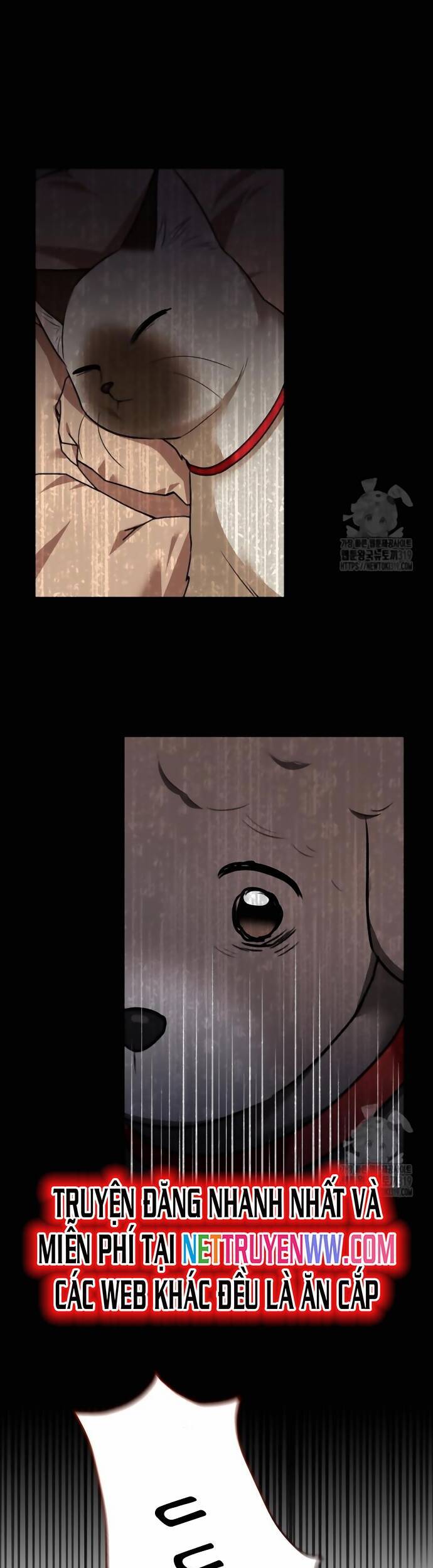 Xin Chào! Bác Sĩ Thú Y - Chapter 34 - Page 15