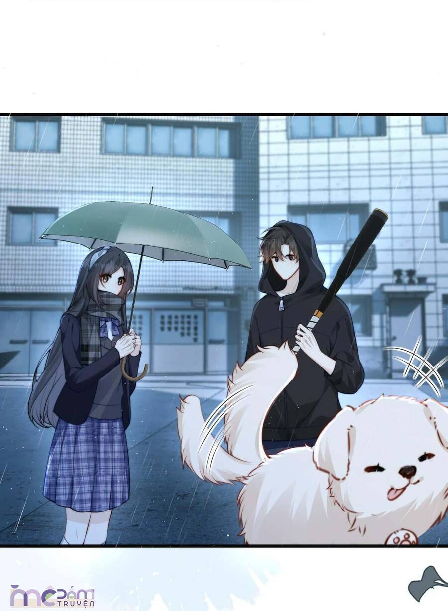 Em Nghe Thấy Chứ ? - Chapter 41 - Page 4