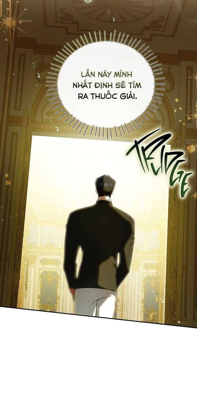 Hình Như Tôi Đã Xuyên Vào Cuốn Tiểu Thuyết Nào Đó Chapter 41 - Trang 24