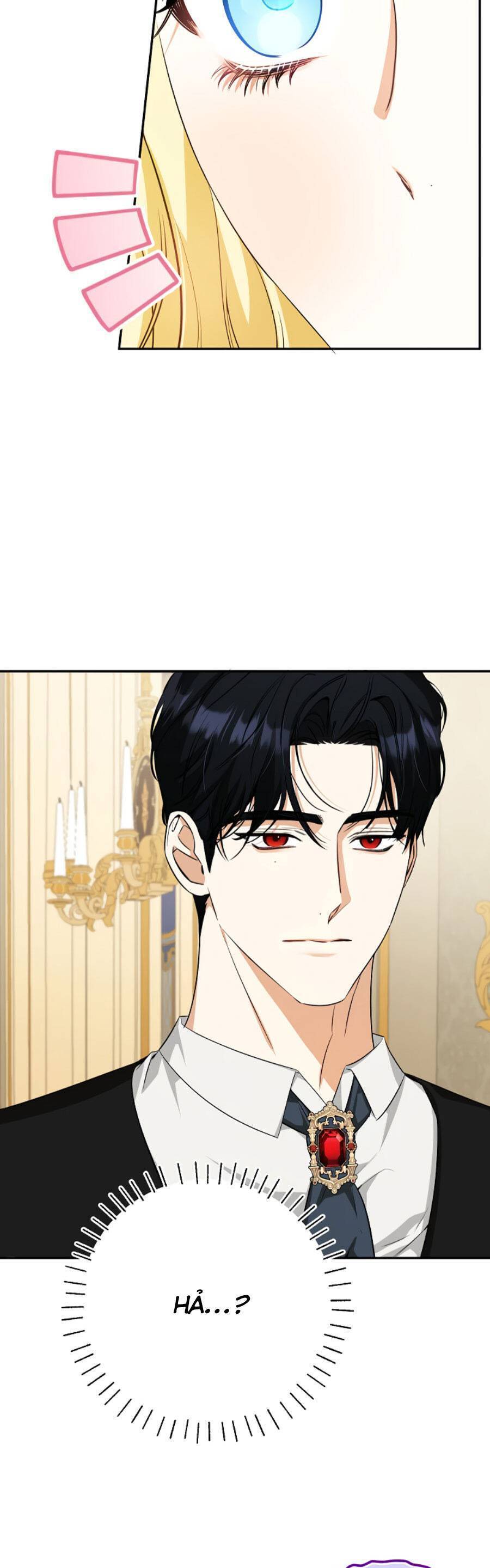 Hình Như Tôi Đã Xuyên Vào Cuốn Tiểu Thuyết Nào Đó Chapter 42 - Trang 12