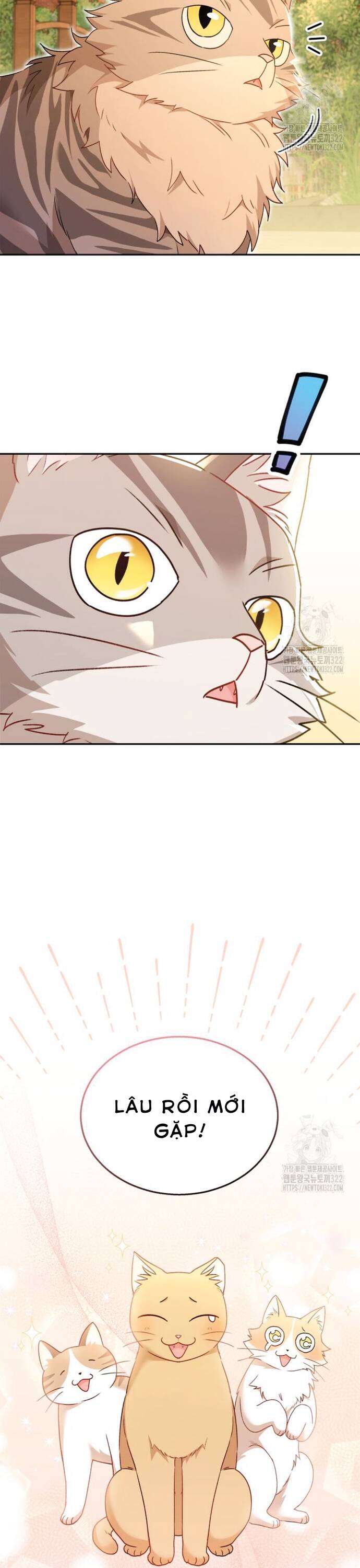 Xin Chào! Bác Sĩ Thú Y - Chapter 38 - Page 3