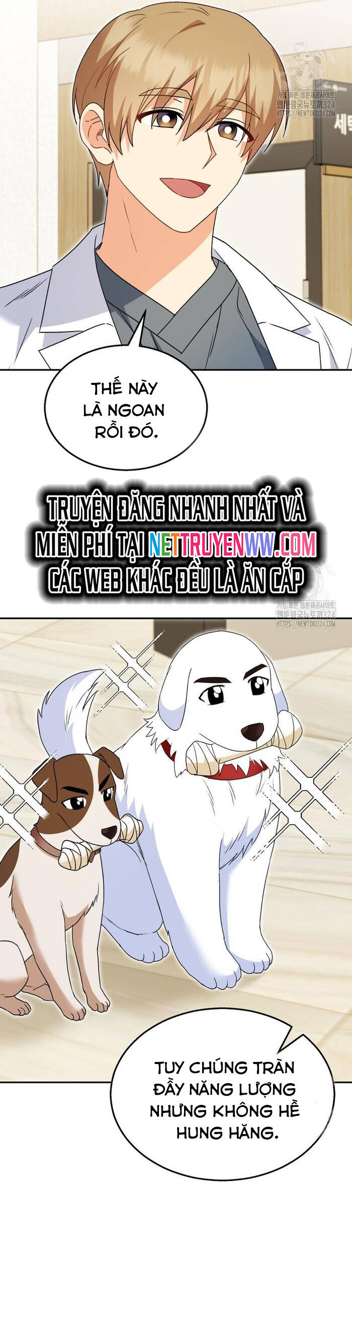 Xin Chào! Bác Sĩ Thú Y - Chapter 41 - Page 42