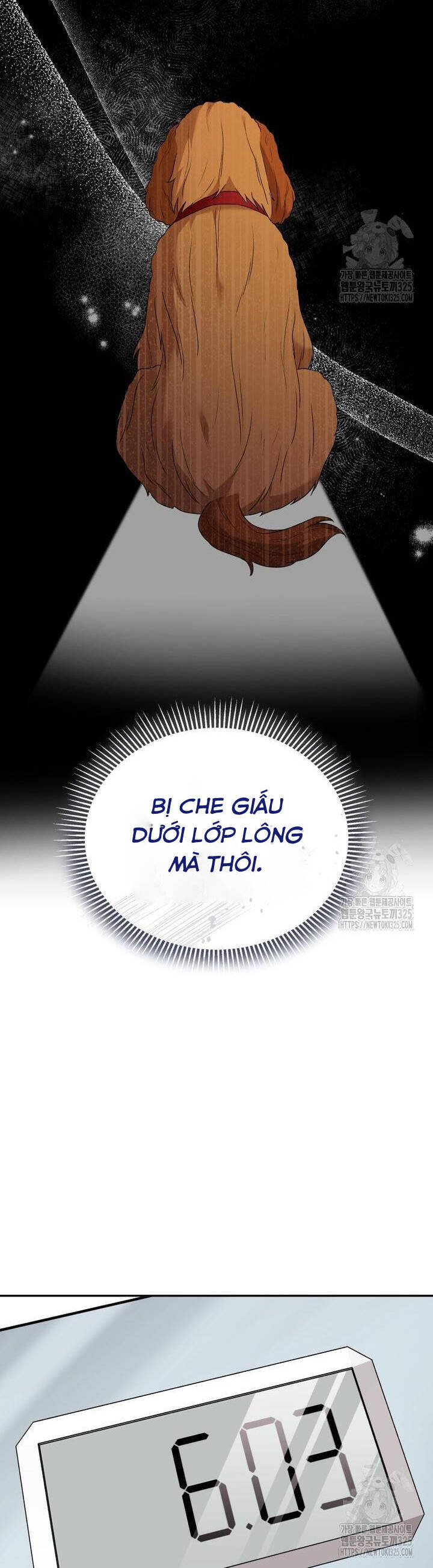 Xin Chào! Bác Sĩ Thú Y - Chapter 42 - Page 28