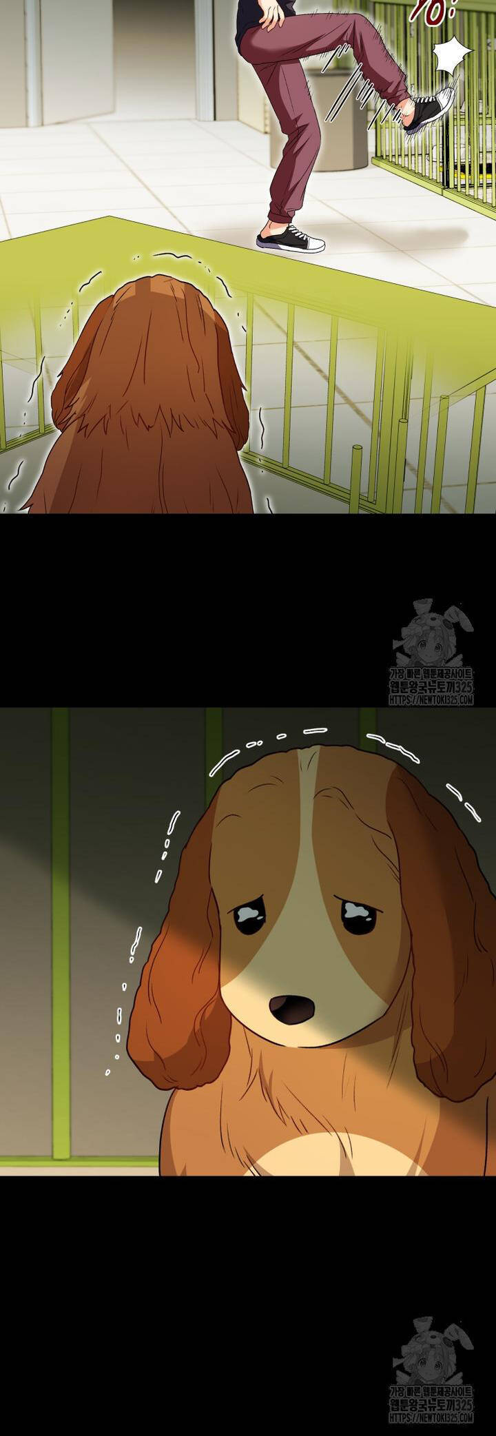 Xin Chào! Bác Sĩ Thú Y - Chapter 43 - Page 11