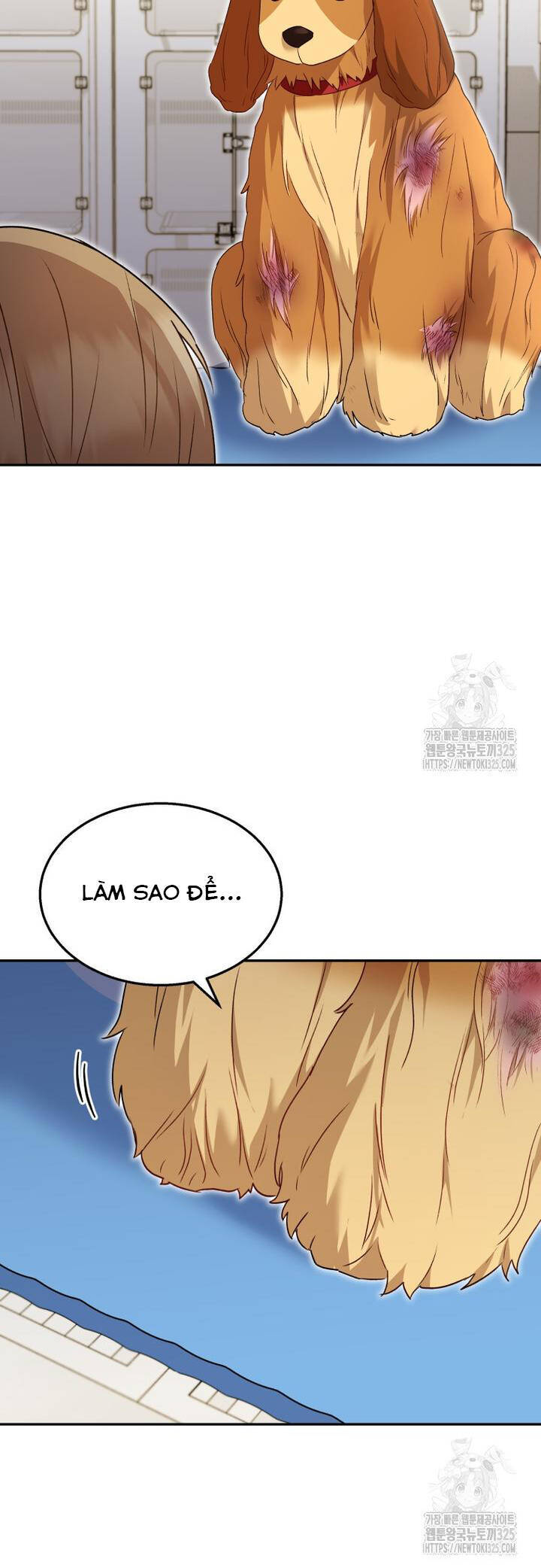 Xin Chào! Bác Sĩ Thú Y - Chapter 43 - Page 21