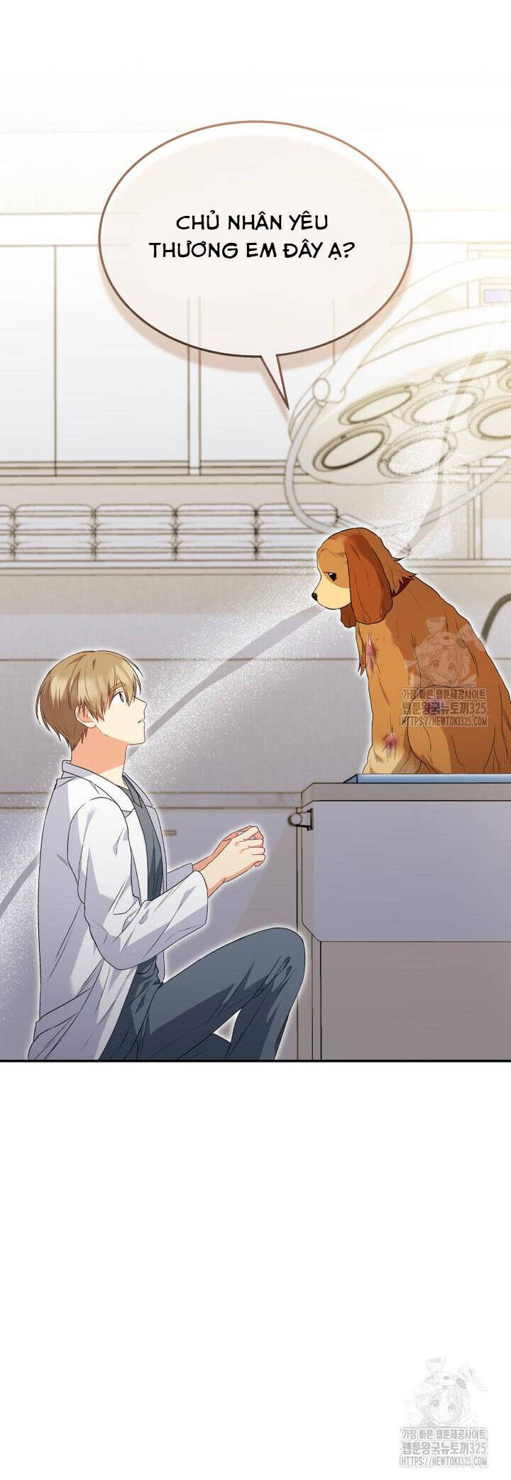 Xin Chào! Bác Sĩ Thú Y - Chapter 43 - Page 22