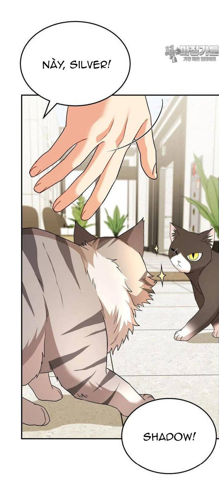 Xin Chào! Bác Sĩ Thú Y - Chapter 51 - Page 14