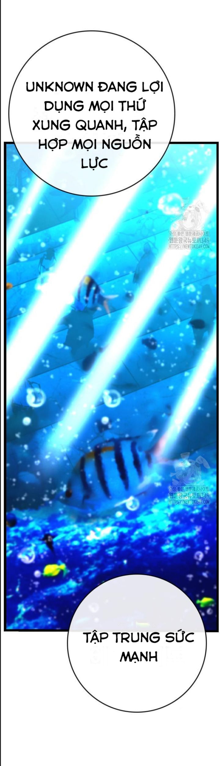 Phòng Gym Hanlim - Chapter 192 - Page 42