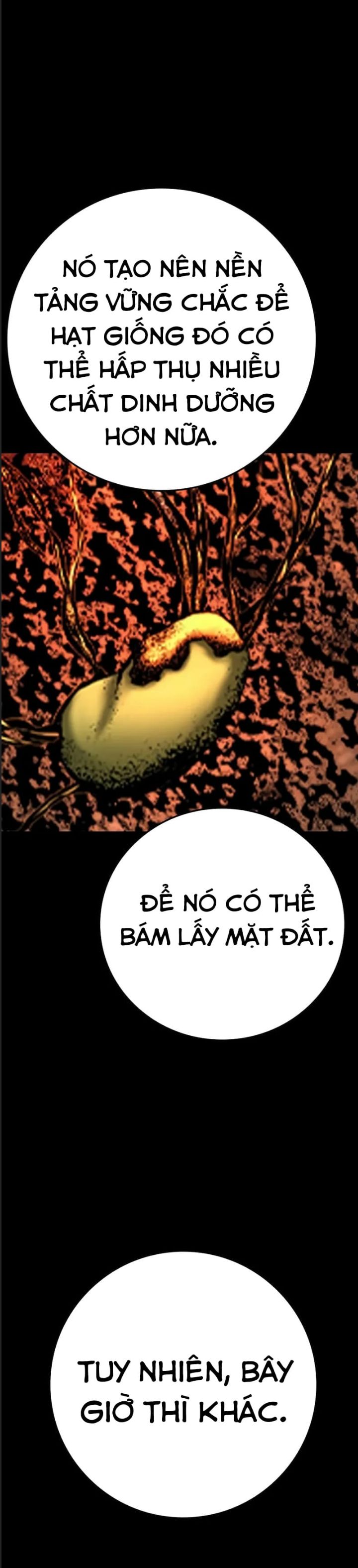 Phòng Gym Hanlim - Chapter 204 - Page 30