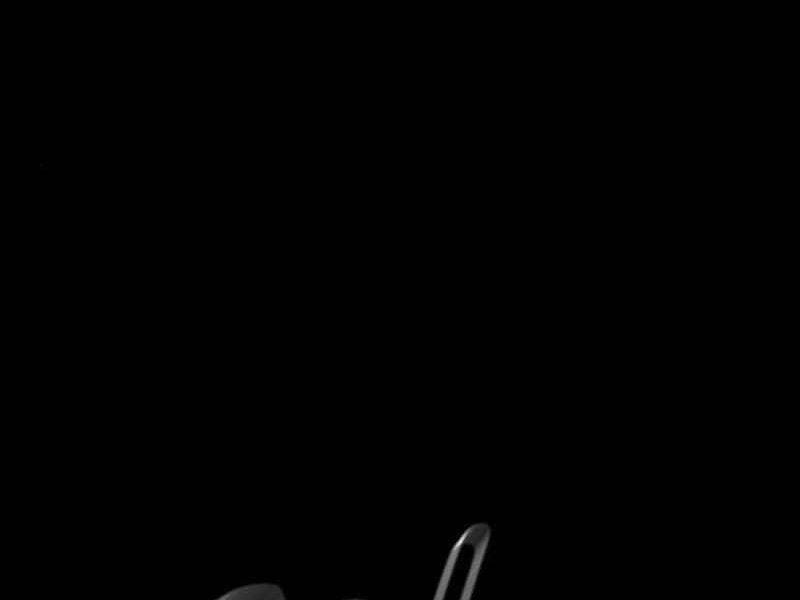 Đi Săn Tự Động Bằng Phân Thân - Chapter 119 - Page 19