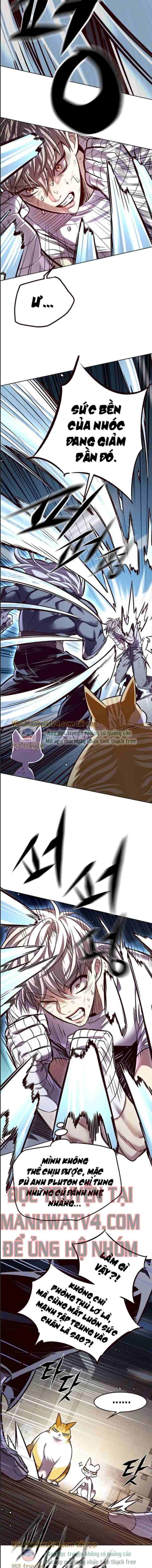 Hoá Thân Thành Mèo - Chapter 328 - Page 11