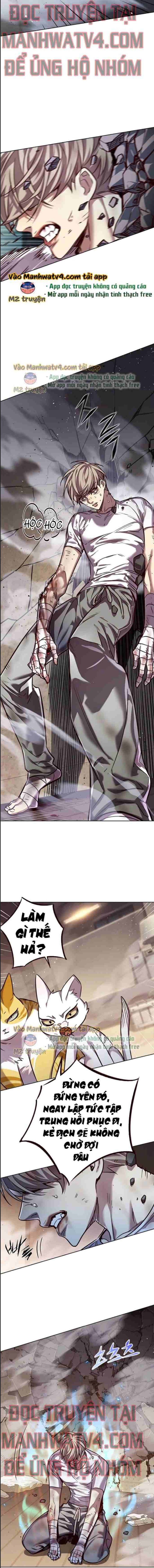 Hoá Thân Thành Mèo - Chapter 328 - Page 13