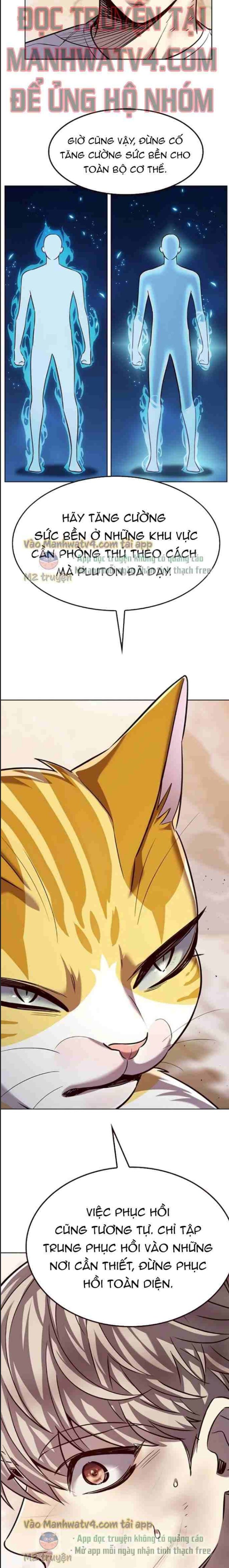 Hoá Thân Thành Mèo - Chapter 328 - Page 17