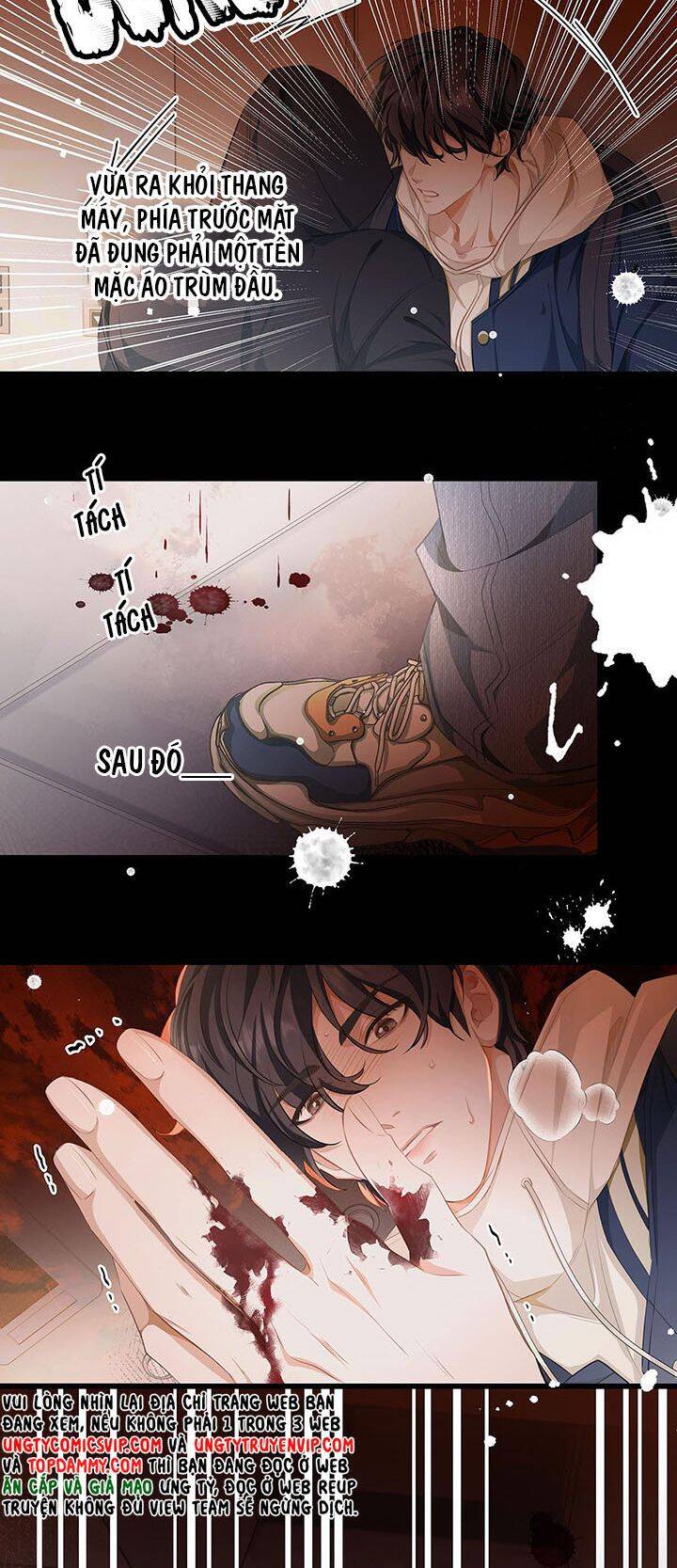 Tôi Trùng Sinh Trở Thành Tiểu Ác Long Của Vương Tử Điện Hạ - Chapter 1 - Page 13