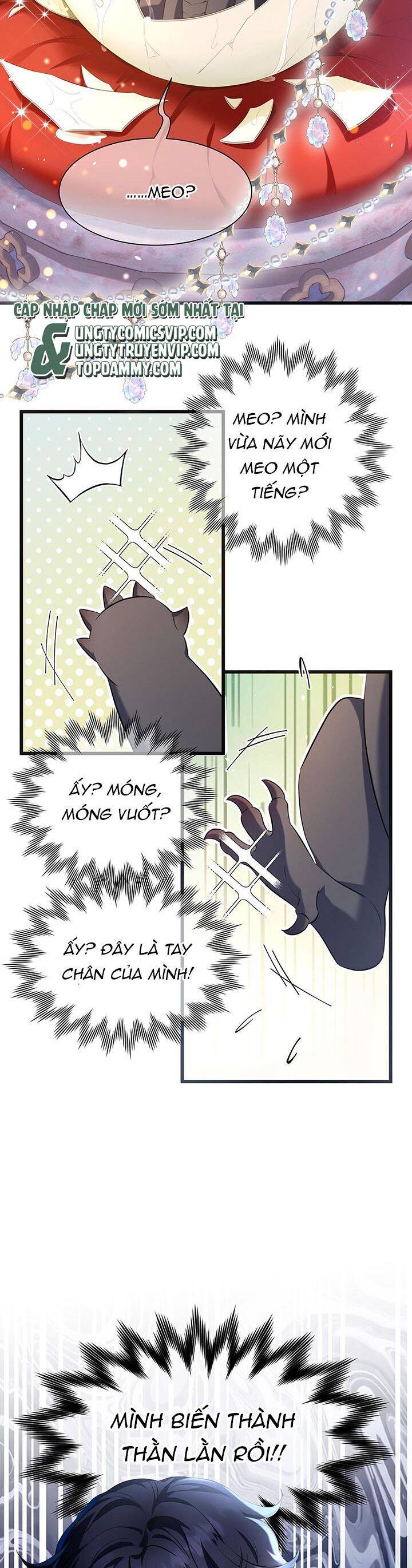 Tôi Trùng Sinh Trở Thành Tiểu Ác Long Của Vương Tử Điện Hạ - Chapter 1 - Page 5