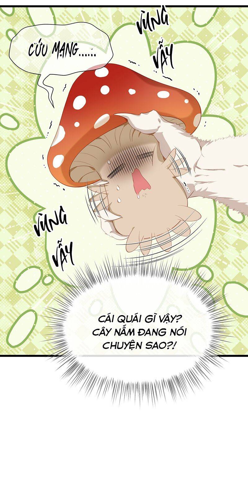 Tôi Trùng Sinh Trở Thành Tiểu Ác Long Của Vương Tử Điện Hạ - Chapter 14 - Page 25