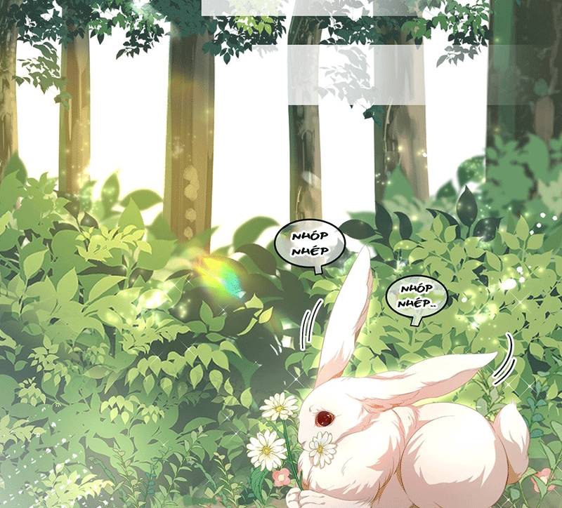 Tôi Trùng Sinh Trở Thành Tiểu Ác Long Của Vương Tử Điện Hạ - Chapter 15 - Page 10